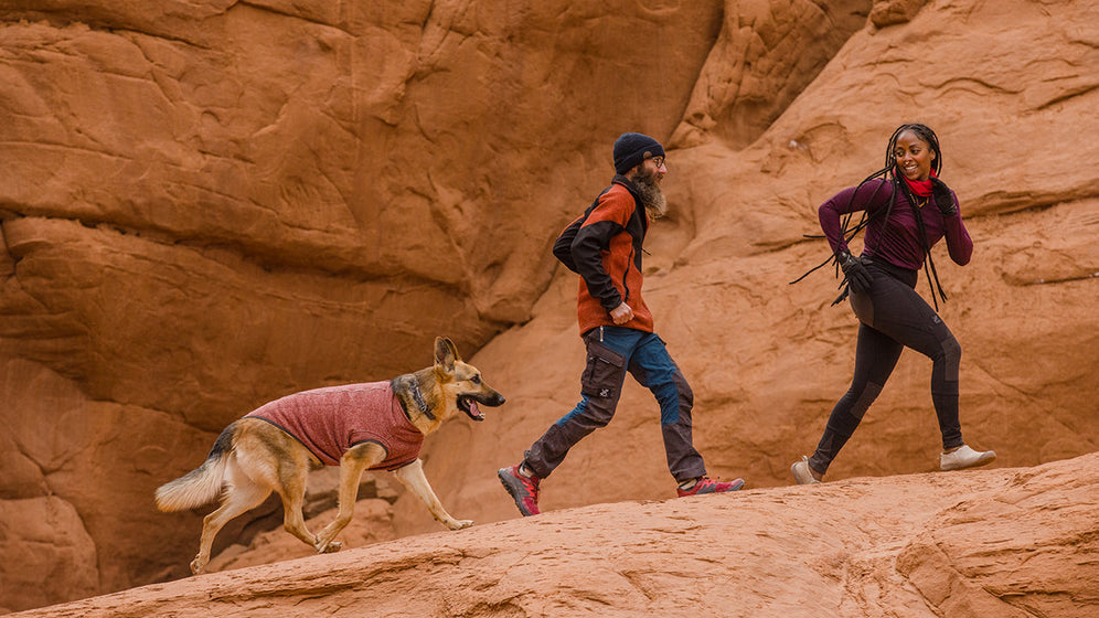 Über den Hemp Hound™ Sweater Video Thumbnail