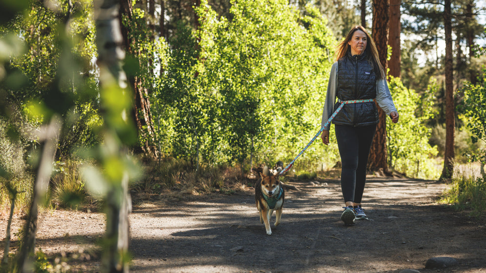 About: The Crag™ Leash Video Thumbnail