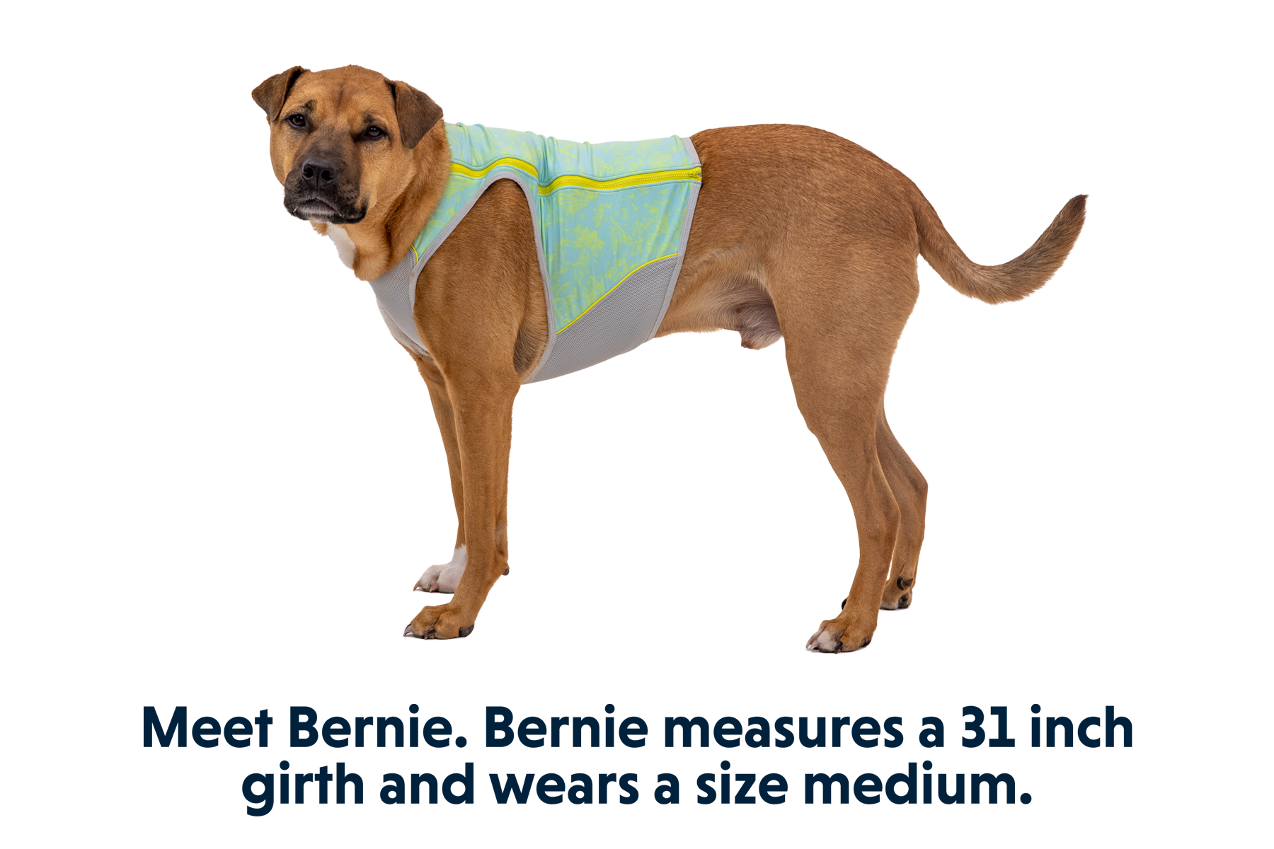 Ruffwear cooling vest on sale
