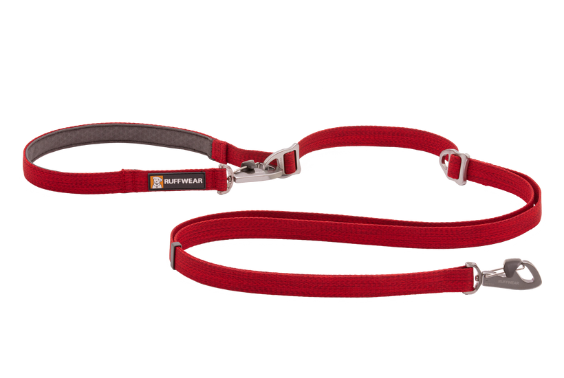 Double sales clip leash