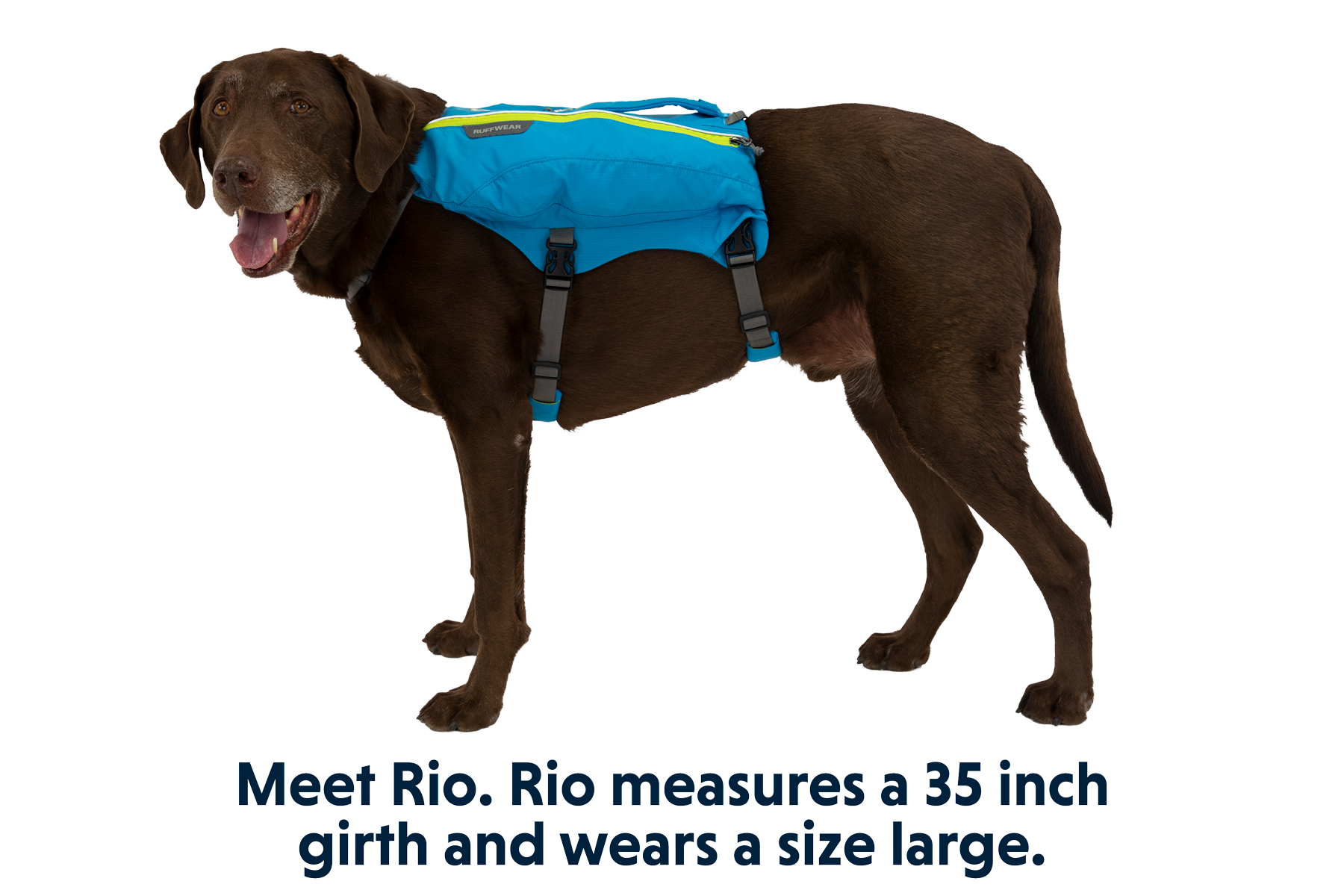 Ruffwear singletrak sales